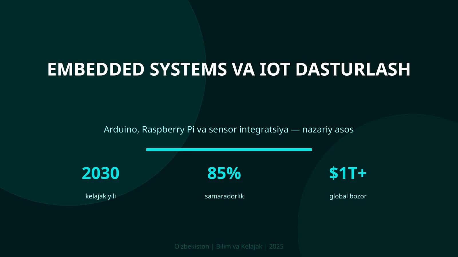 Embedded Systems va IoT Dasturlash