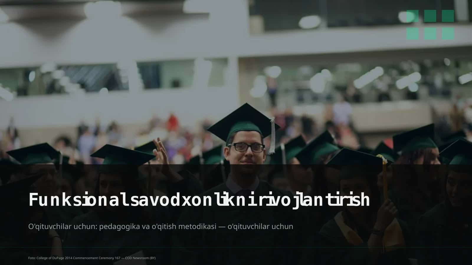 Funksional savodxonlikni rivojlantirish