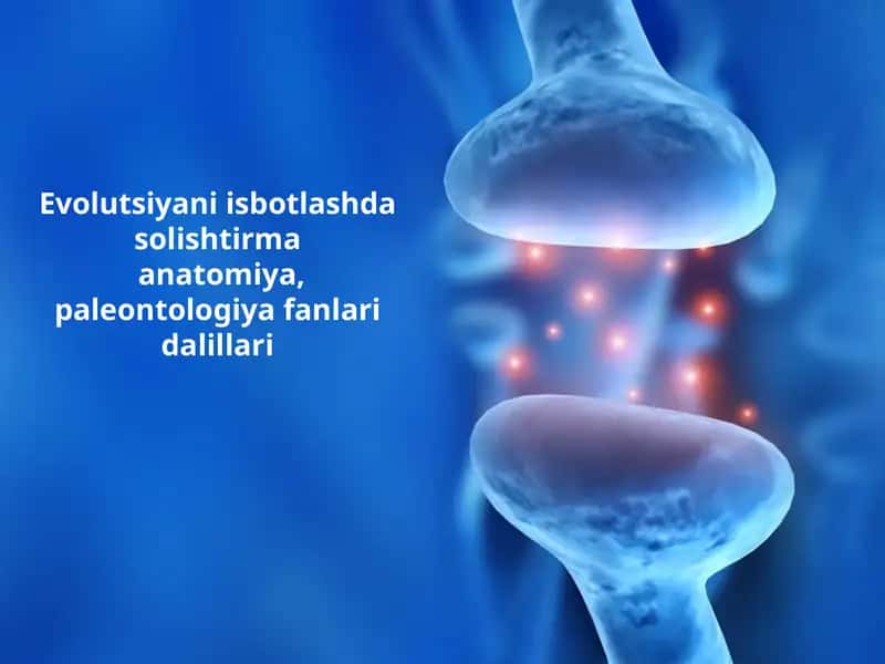 Evolutsiyani Isbotlashda Solishtirmanatomiya va Paleontologiya Fanlari Dalillari