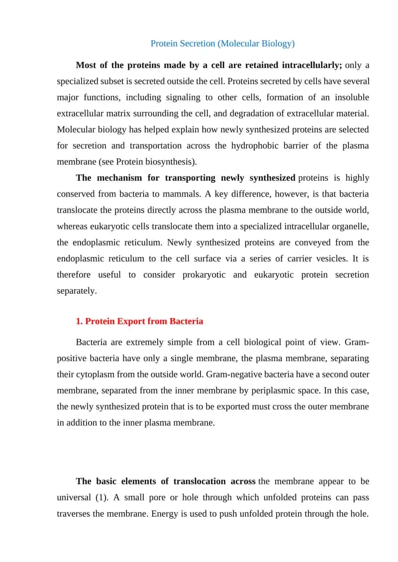 Protein Secretion (Molecular Biology)