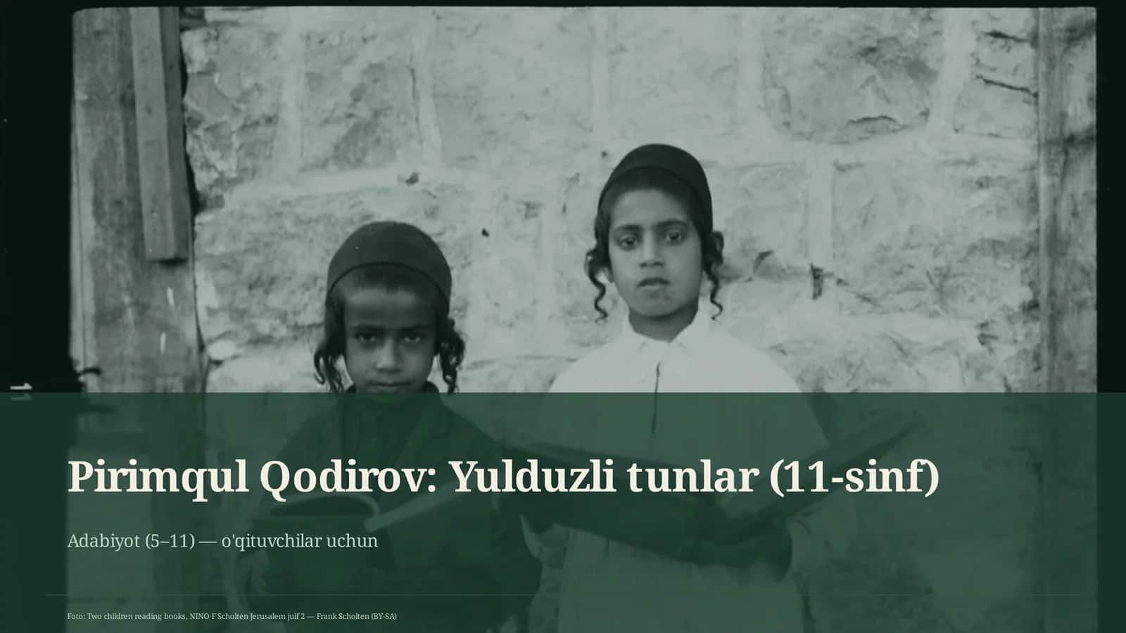 Yulduzli tunlar (11-sinf)