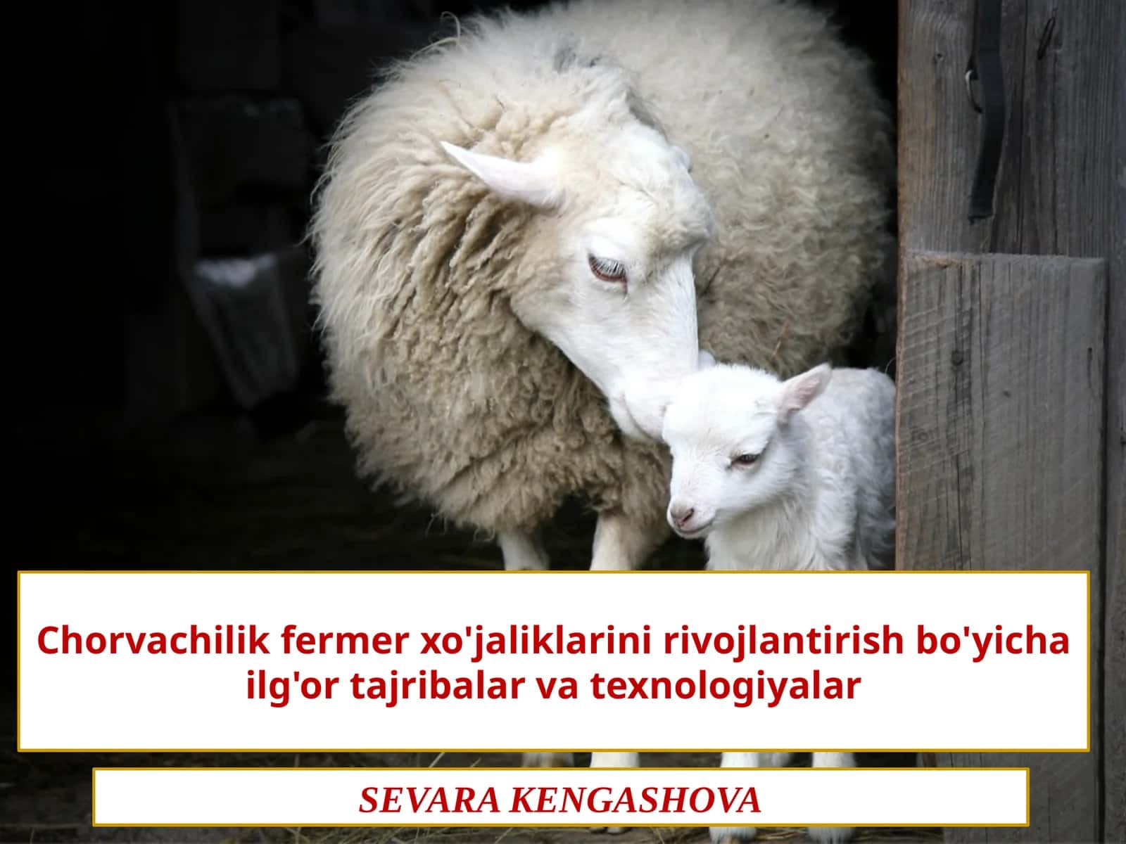 Baliq va boshqa dengiz mahsulotlari