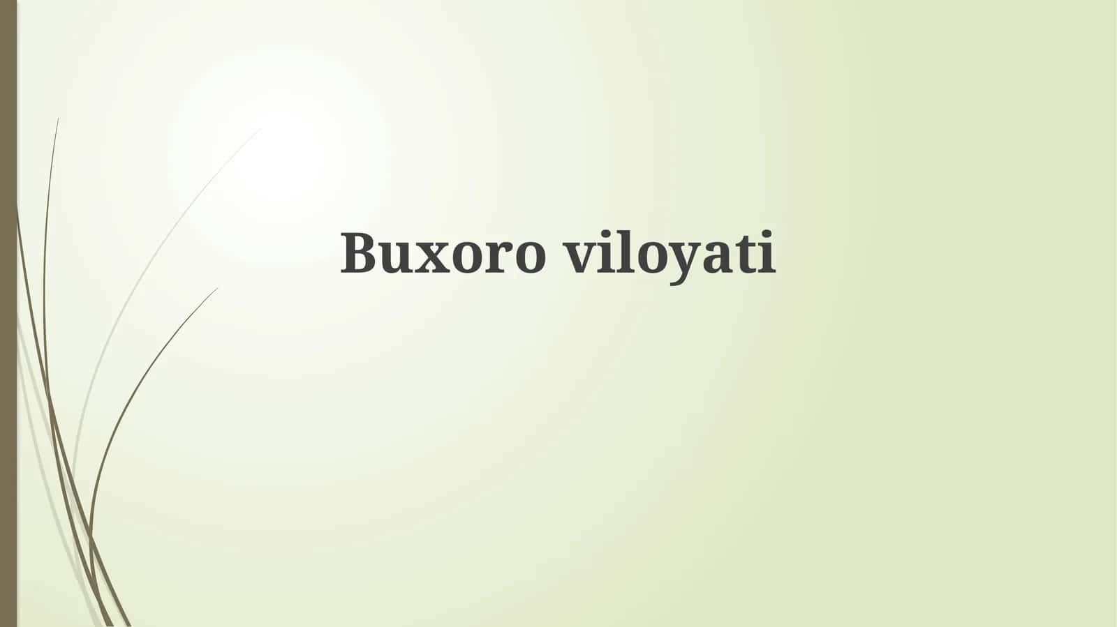 Buxoro viloyati: Umumiy tavsif va salohiyat