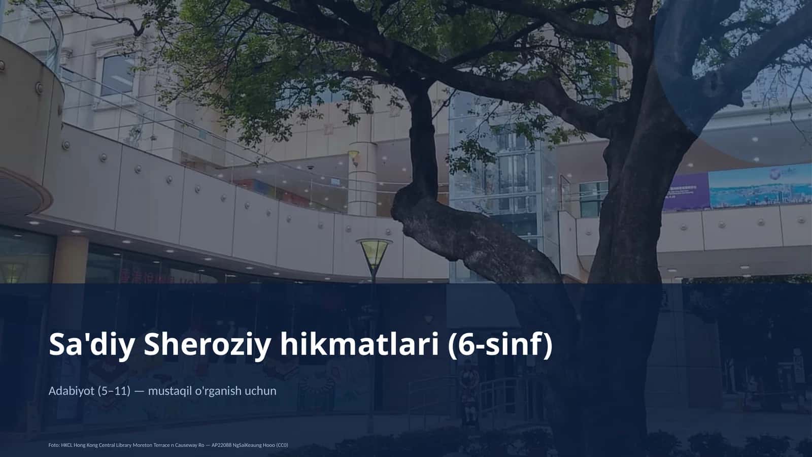 Sa'diy Sheroziy hikmatlari (6-sinf)