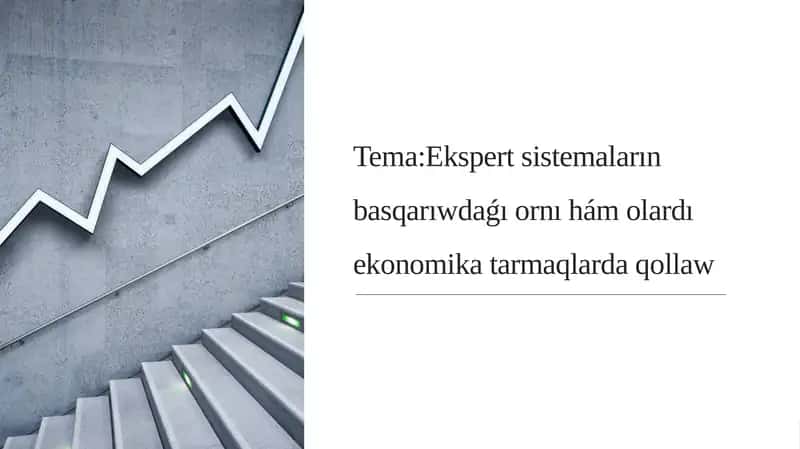Ekspert sistemaların basqarıwdaǵı ornı hám olardı ekonomika tarmaqlarda qollaw
