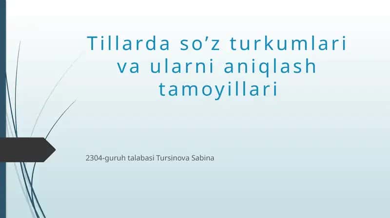 So’z turkumlari va ularni aniqlash tamoyillari