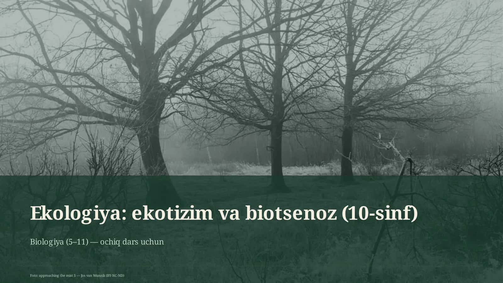 Ekologiya: ekotizim va biotsenoz (10-sinf)