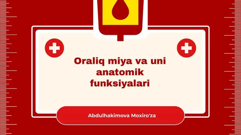Oraliq miya va uni anatomik funksiyalari