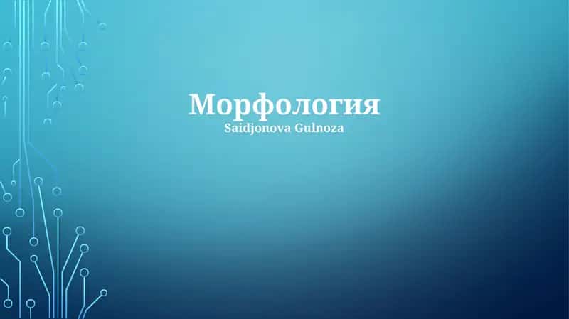 Морфология