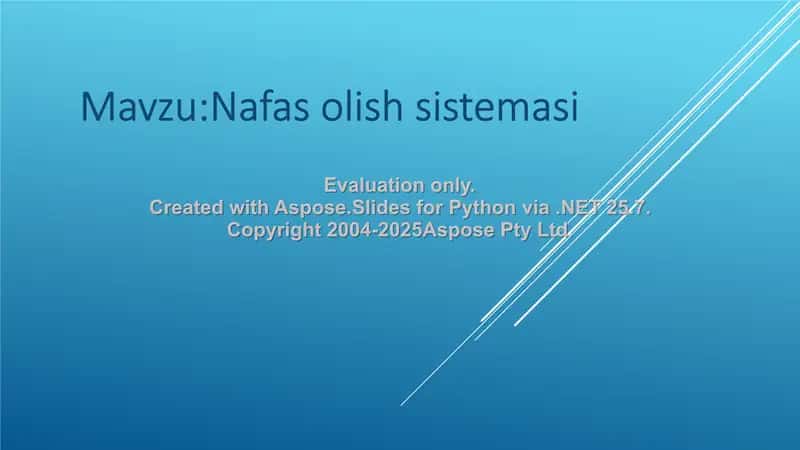Nafas olish sistemasi
