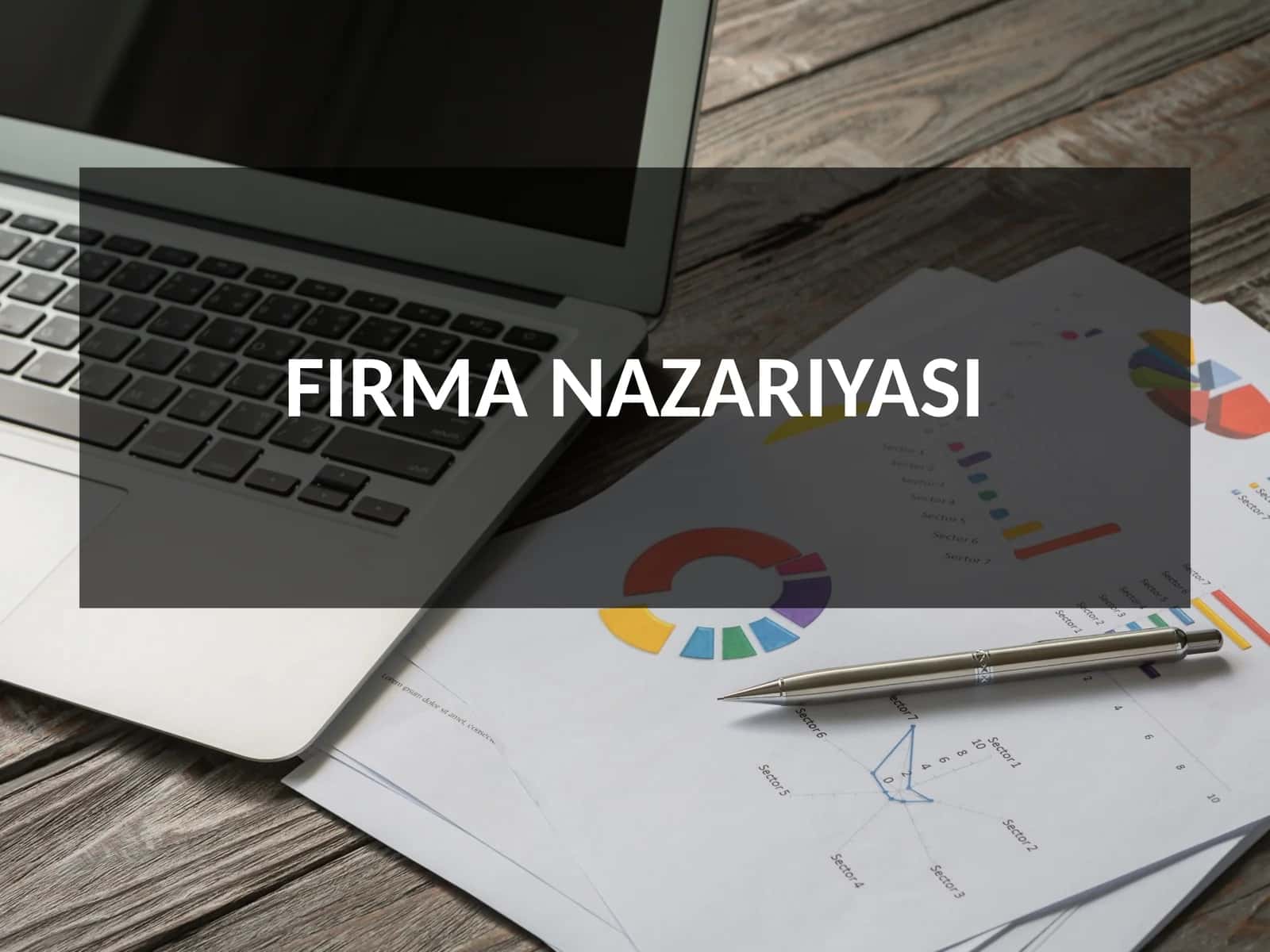 FIRMA NAZARIYASI