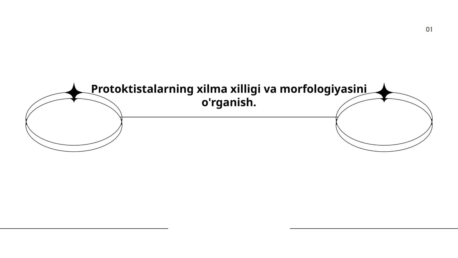 Protoktistalarning xilma xilligi va morfologiyasini o'rganish