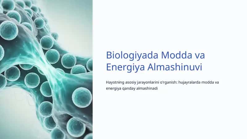 Biologiyada Modda va Energiya Almashinuvi