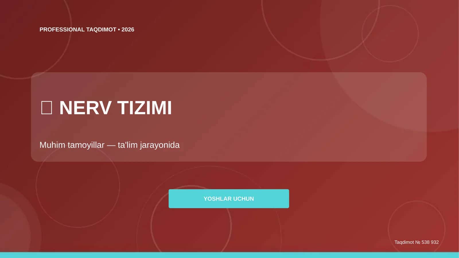 PROFESSIONAL TAQDIMOT • 2026