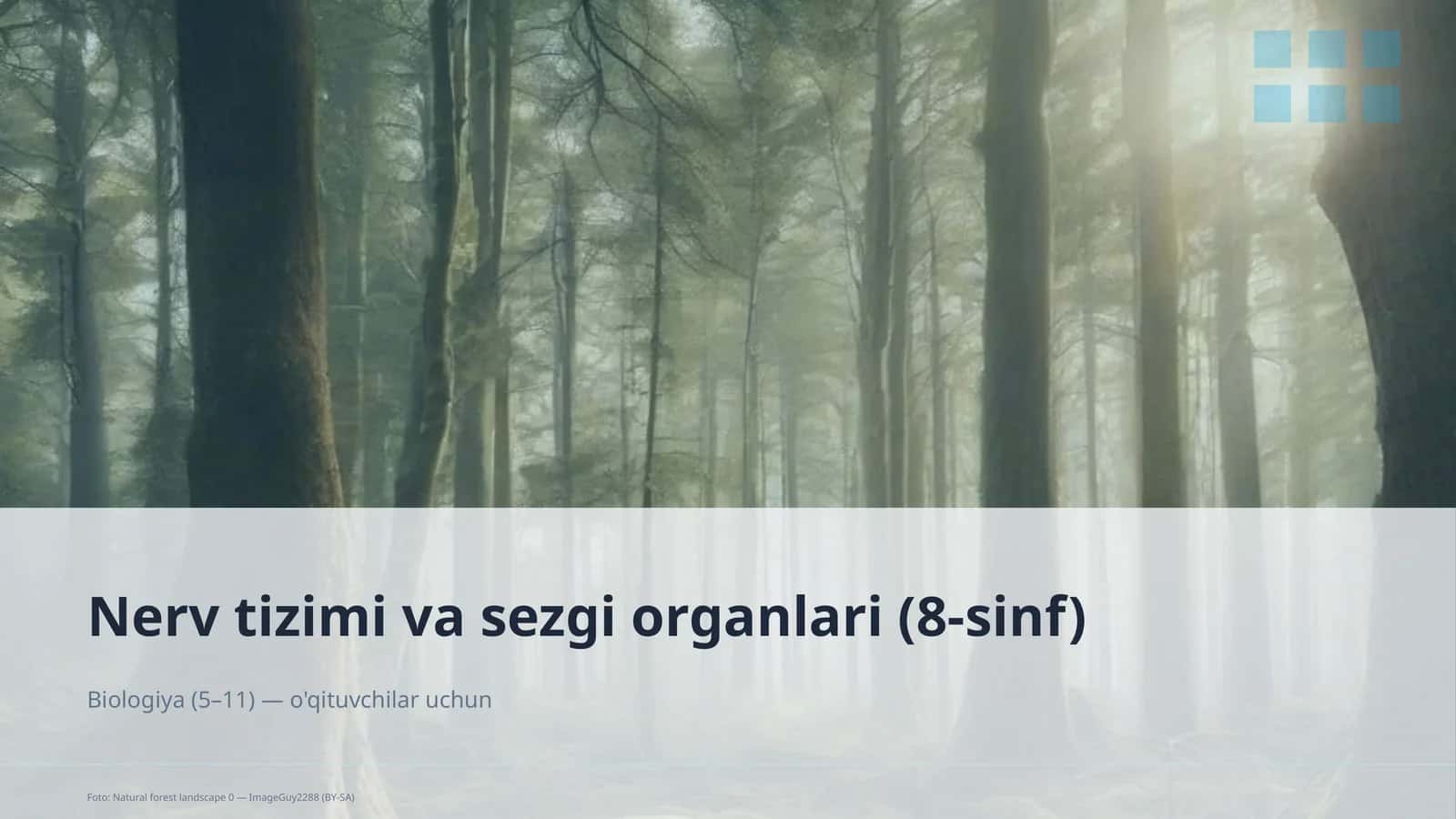Nerv tizimi va sezgi organlari (8-sinf)