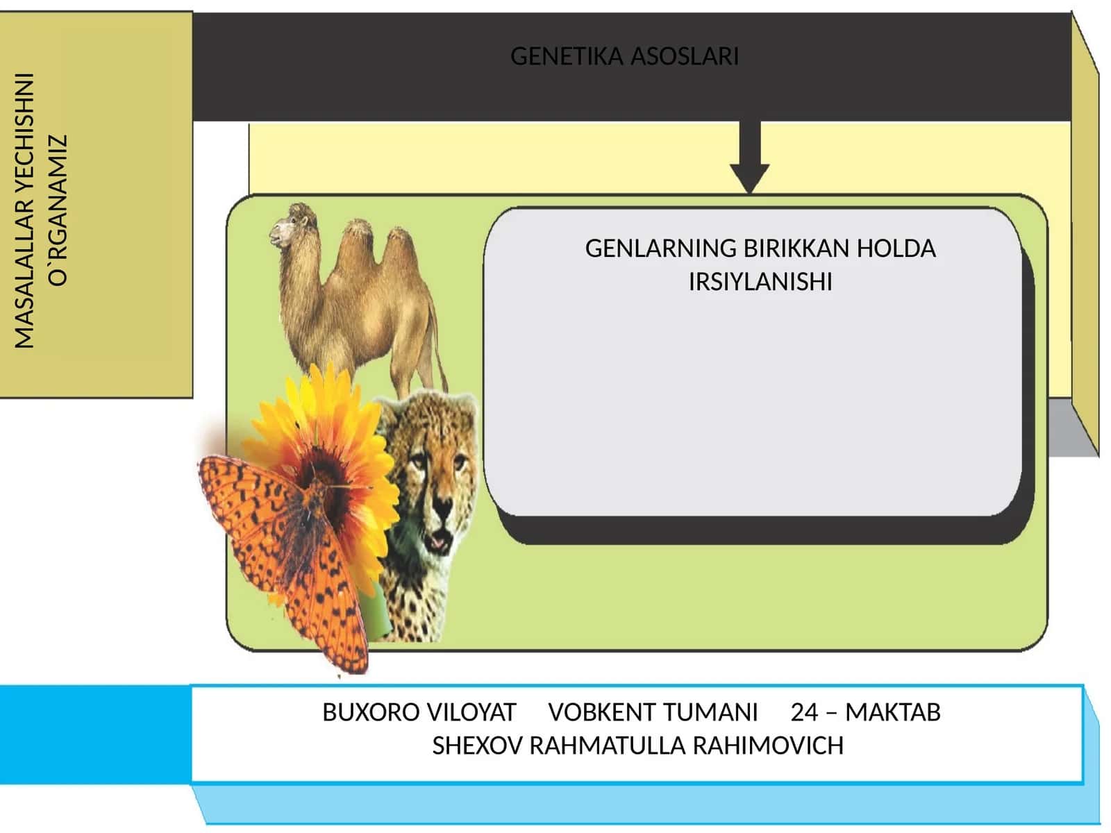 GENETIKA ASOSLARI