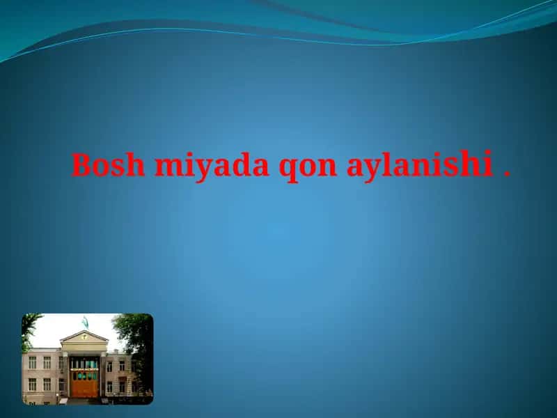 Bosh miyada qon aylanishi .