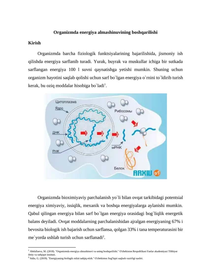 Organizmda energiya almashinuvining boshqarilishi