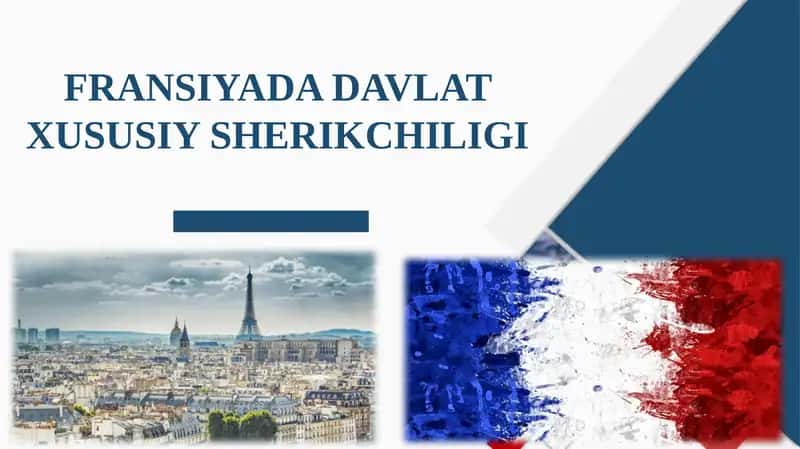FRANSIYADA DAVLAT XUSUSIY SHERIKCHILIGI