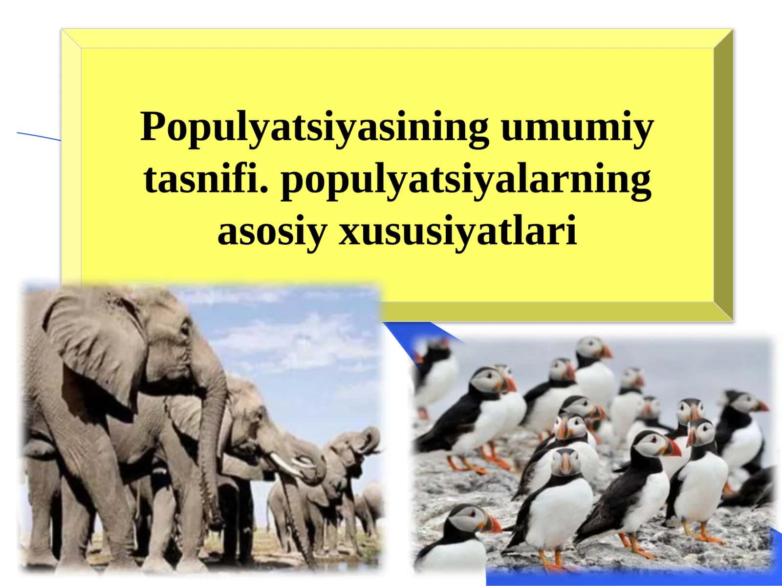 Populyatsiyasining umumiy tasnifi