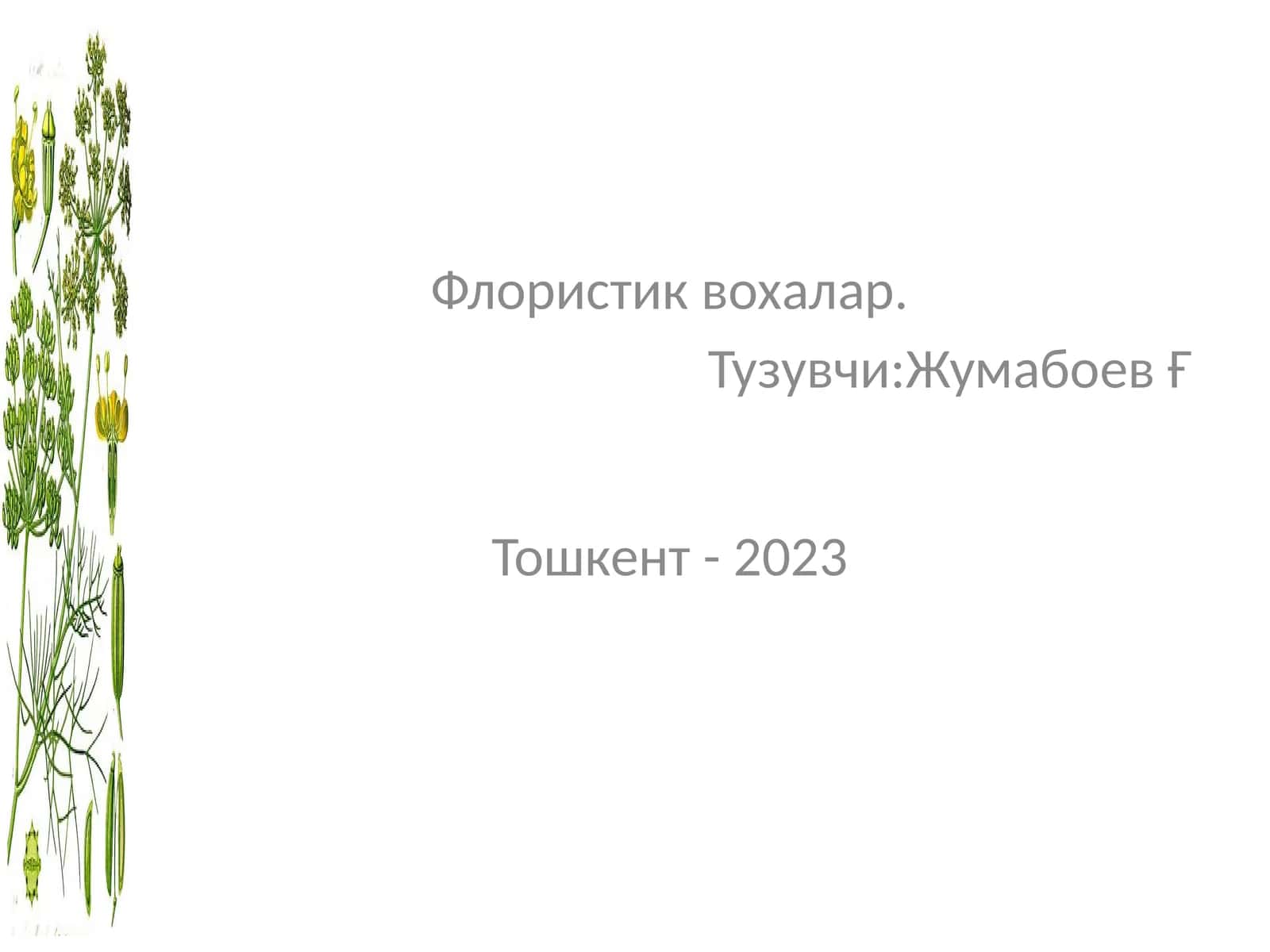 Флористик вохалар