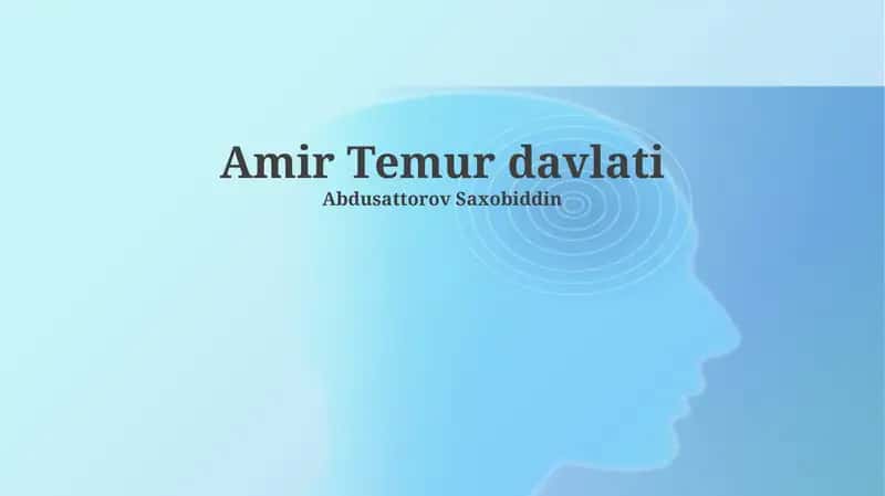 Amir Temur davlati