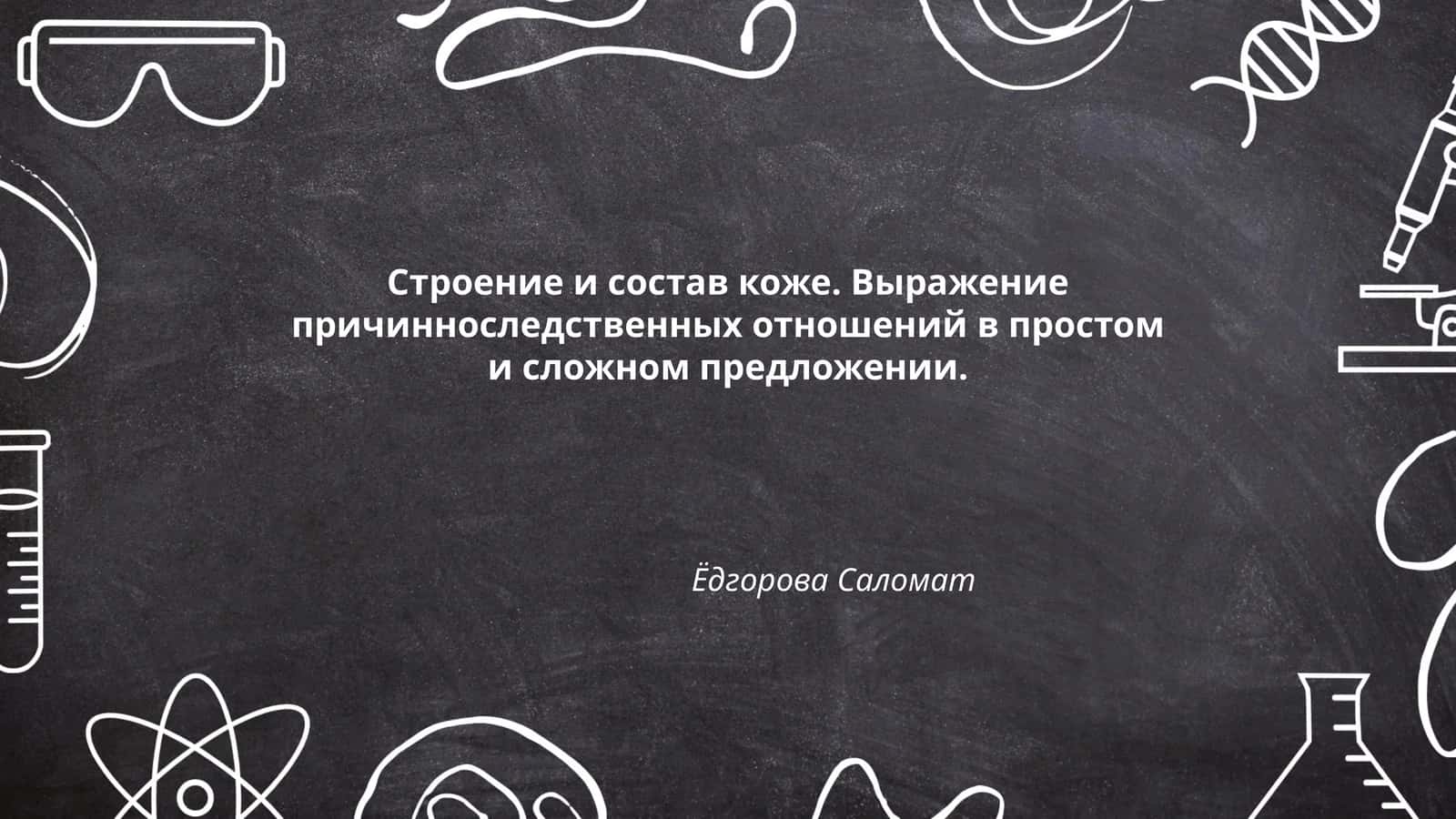 Строение и состав коже