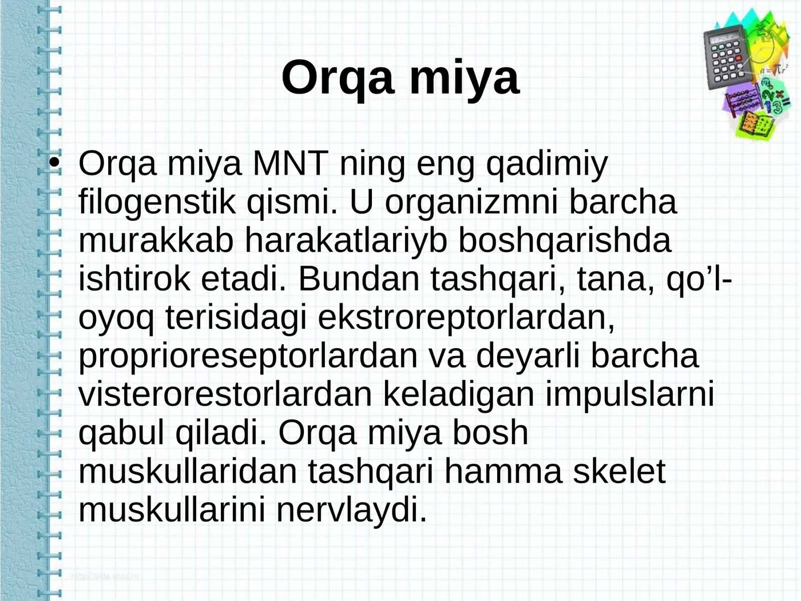 Orqa miya