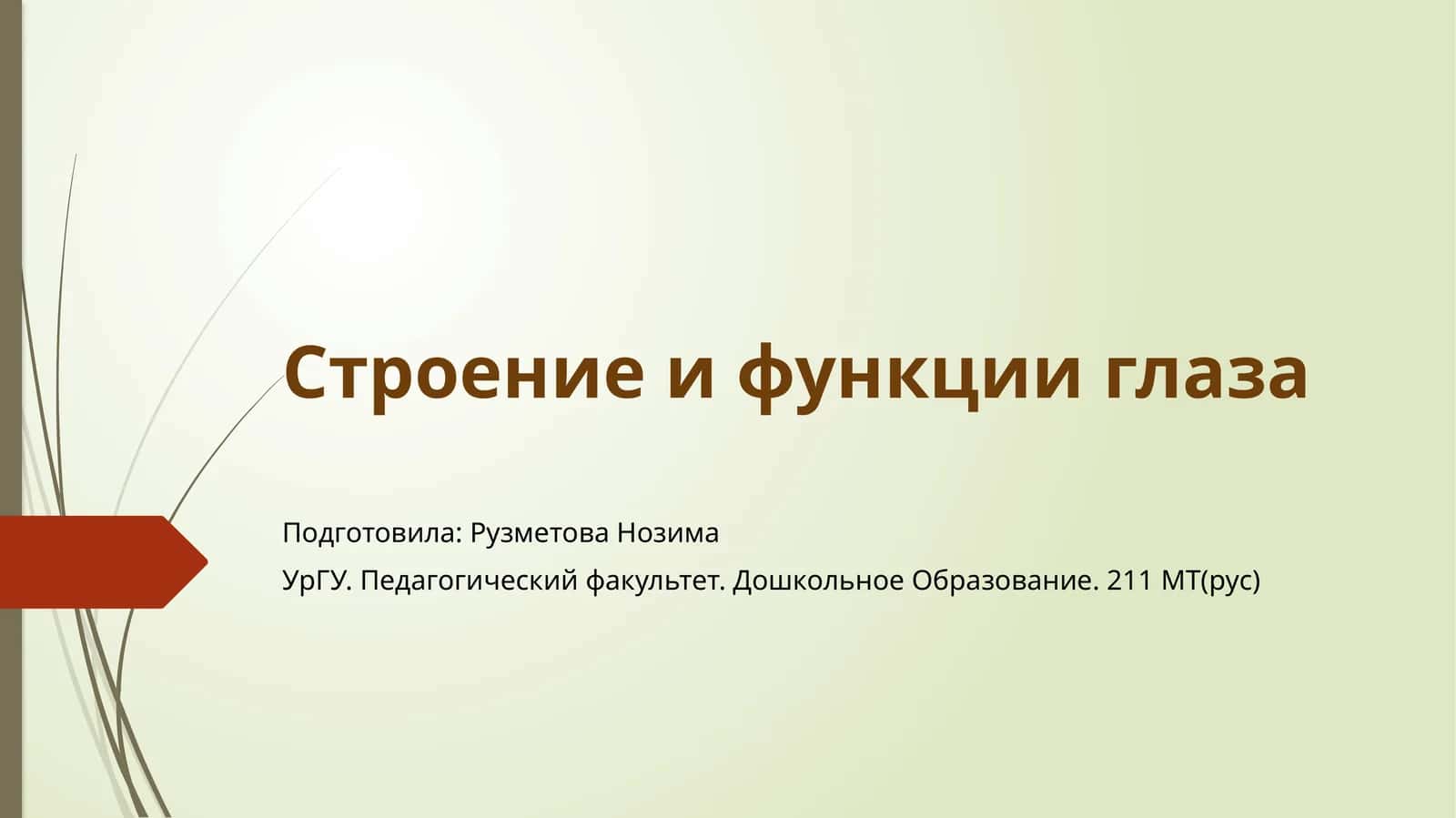 Строение и функции глаза