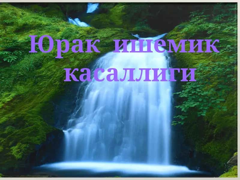Юрак ишемик касаллиги (Ю.И.К)
