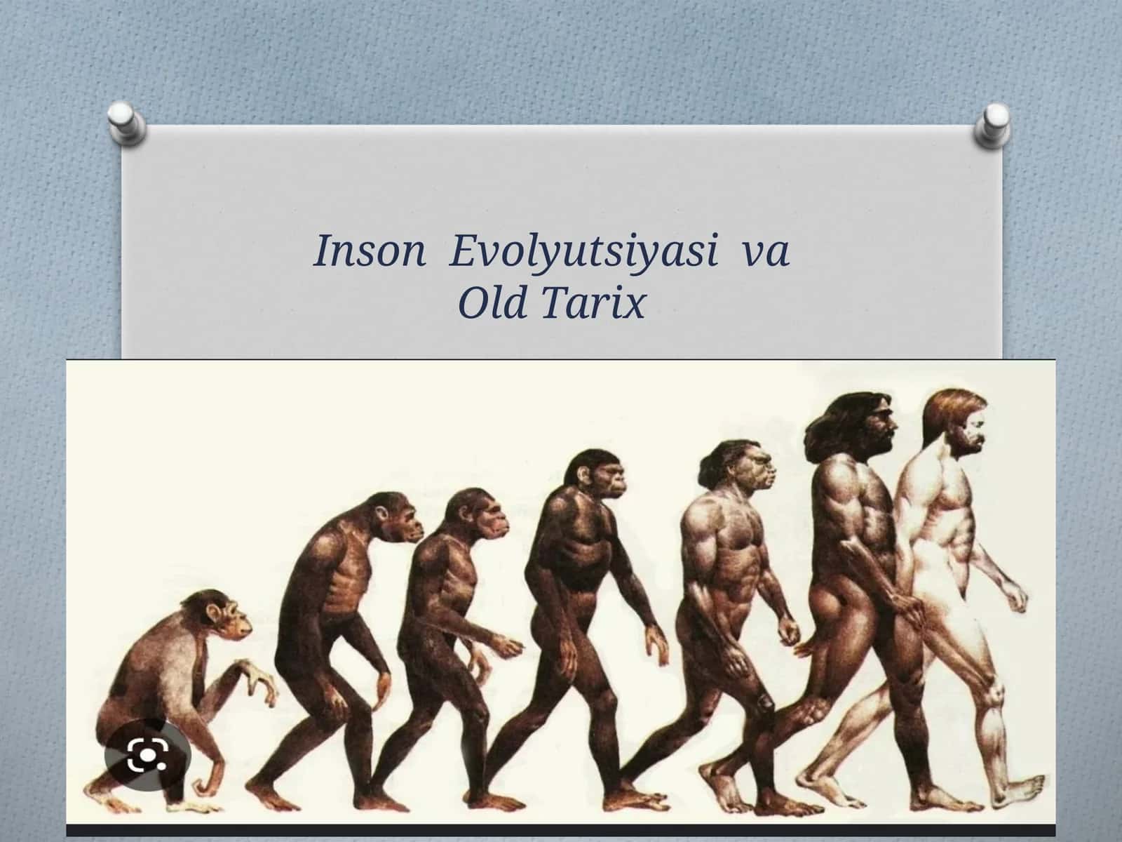 Avstrolopiteklarto`g`risidagiyangiantropogoneznazariyalar
