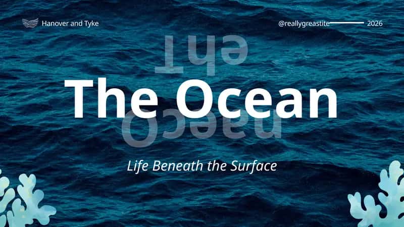 Life Beneath the Surface