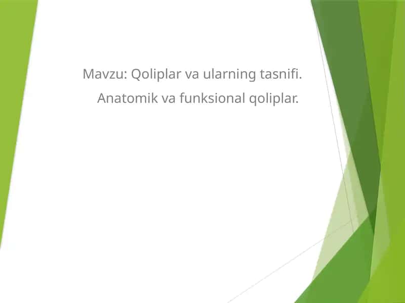 Qoliplar va ularning tasnifi. Anatomik va funksional qoliplar.