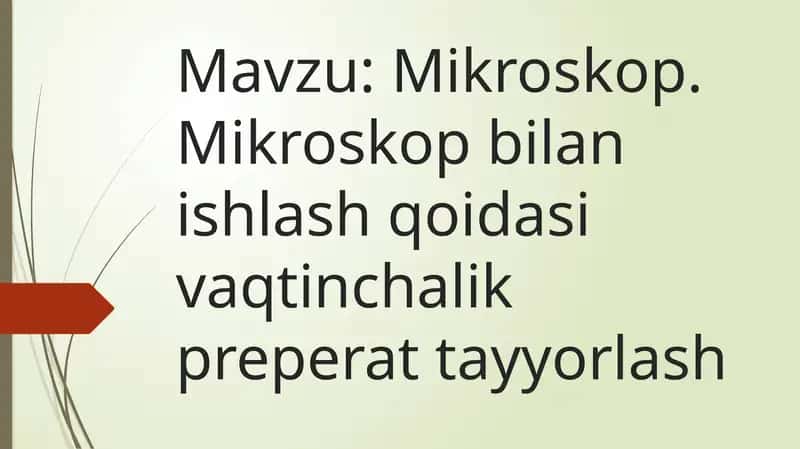 Mikroskop. Mikroskop bilan ishlash qoidasi vaqtinchalik preperat tayyorlash