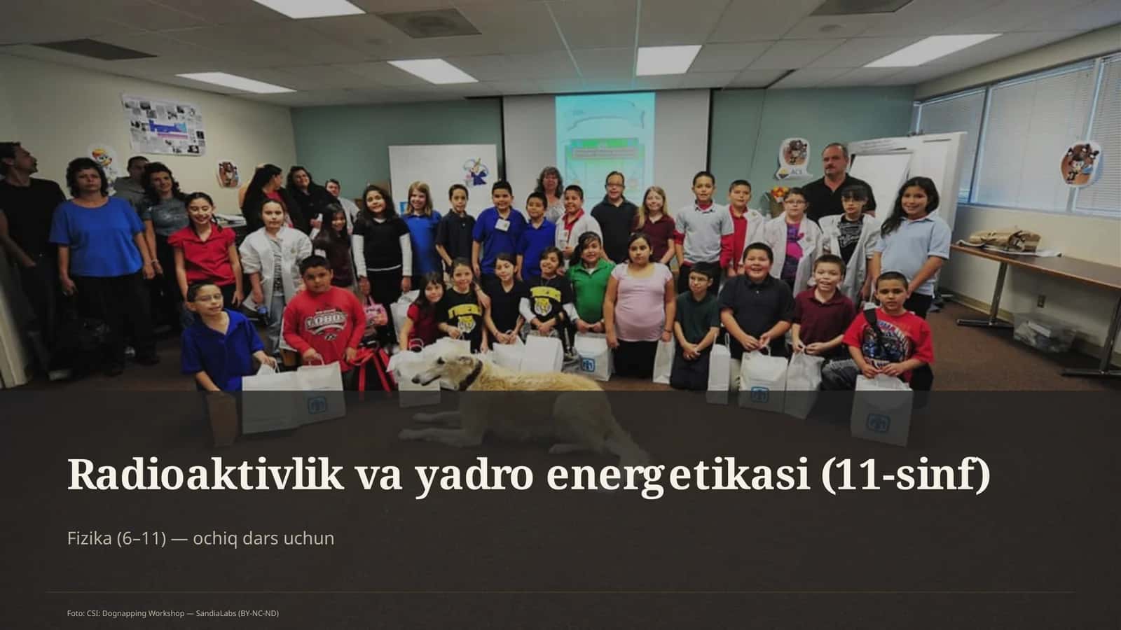 Radioaktivlik va yadro energetikasi (11-sinf)