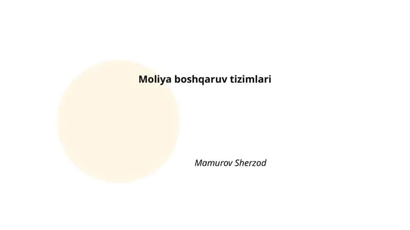 Moliya boshqaruv tizimlari