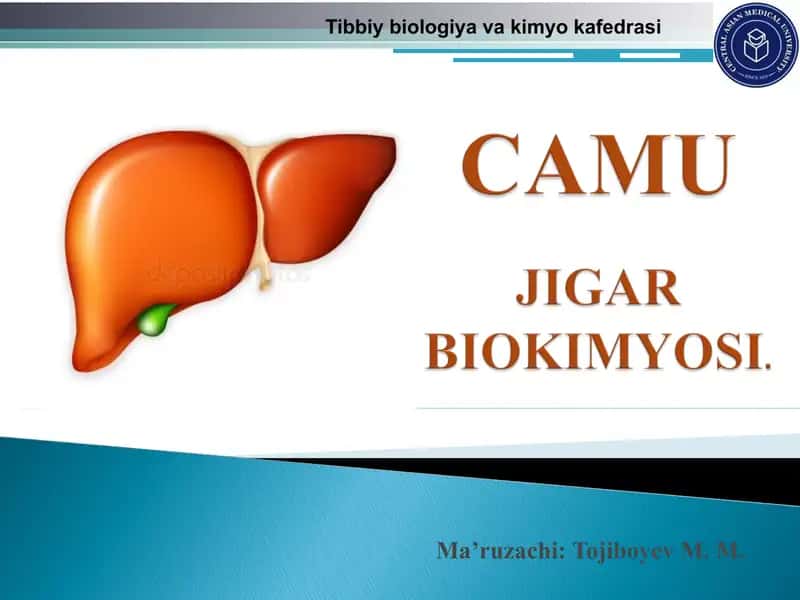 Jigar (OIT)