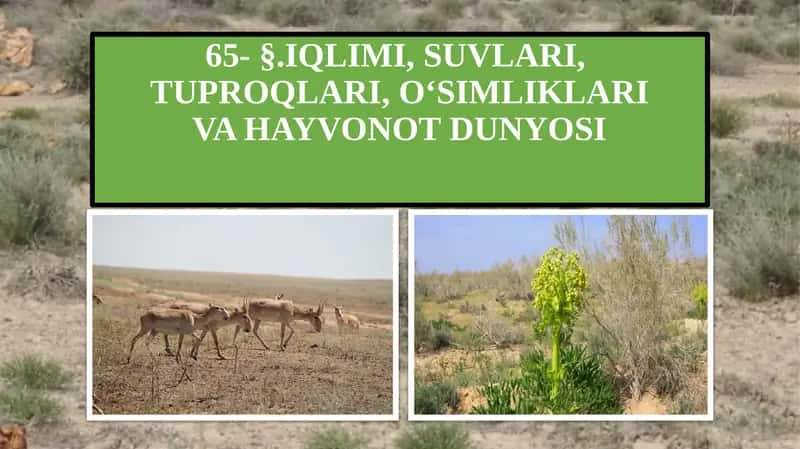 Iqlimi, Suvlari, Tuproqlari, O‘simliklari va Hayvonot Dunyosi