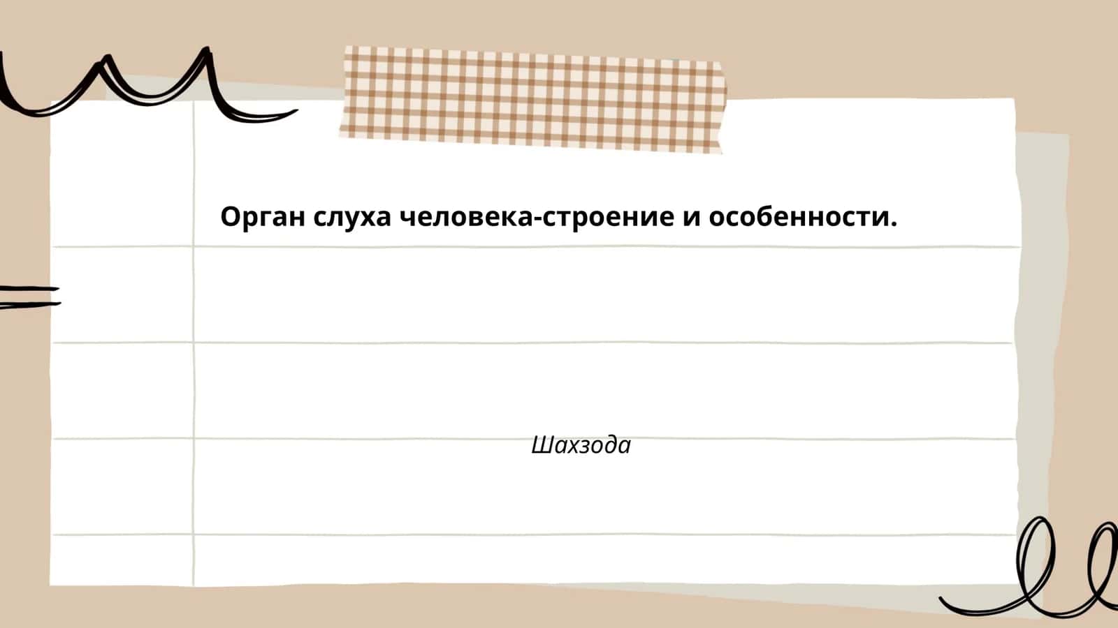 Орган слуха человека-строение и особенности