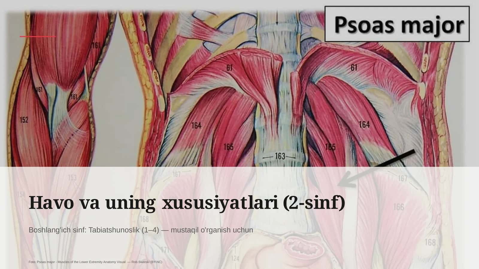 Havo va uning xususiyatlari (2-sinf)