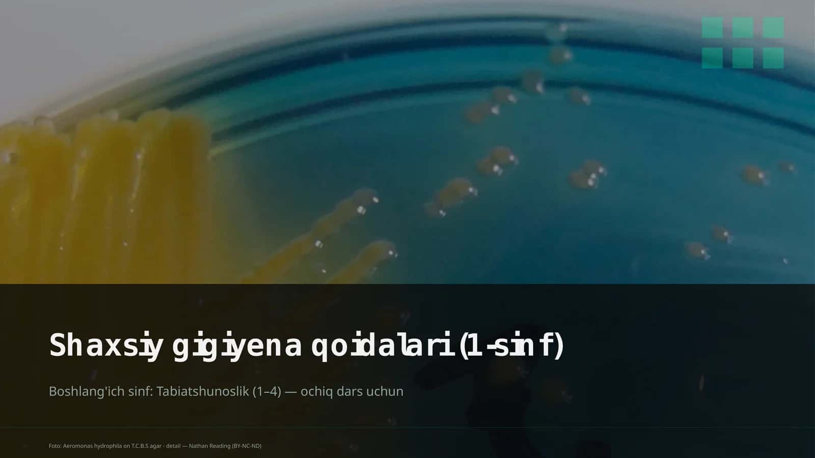 Shaxsiy gigiyena qoidalari (1-sinf)