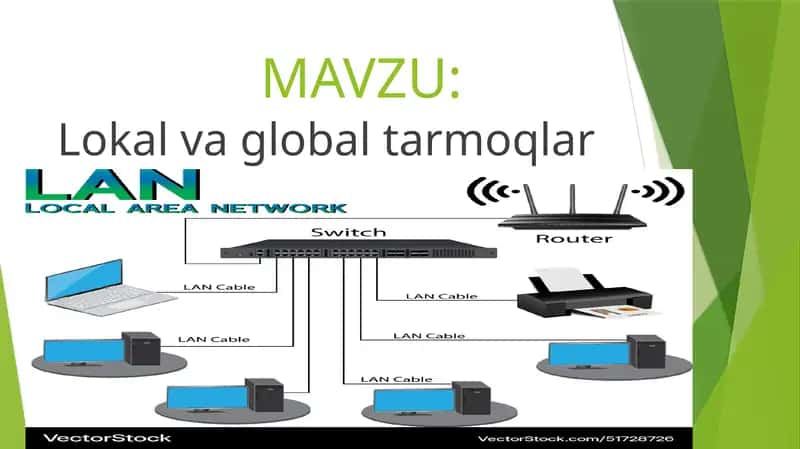 Lokal va global tarmoqlar