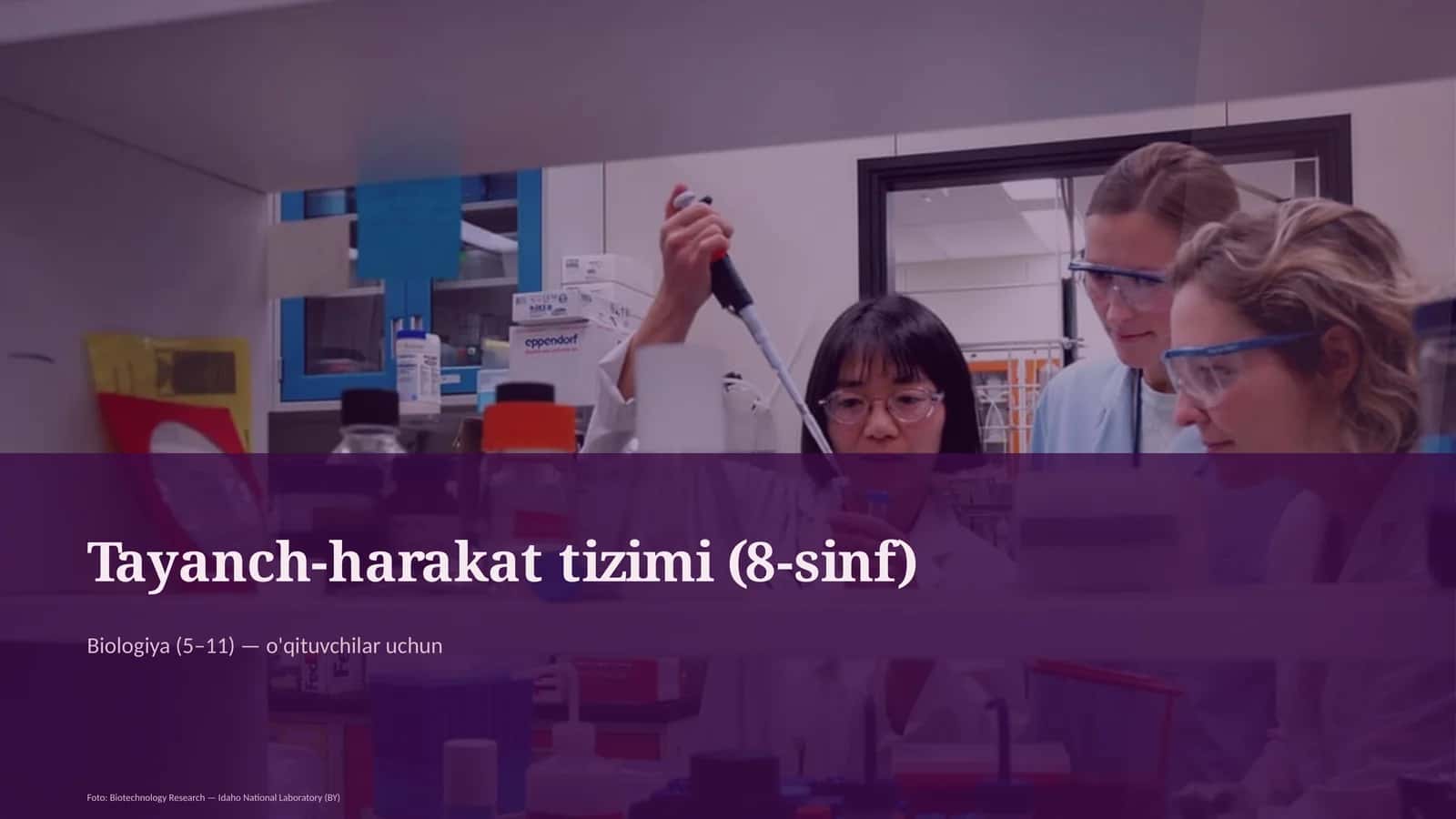 Tayanch-harakat tizimi (8-sinf)