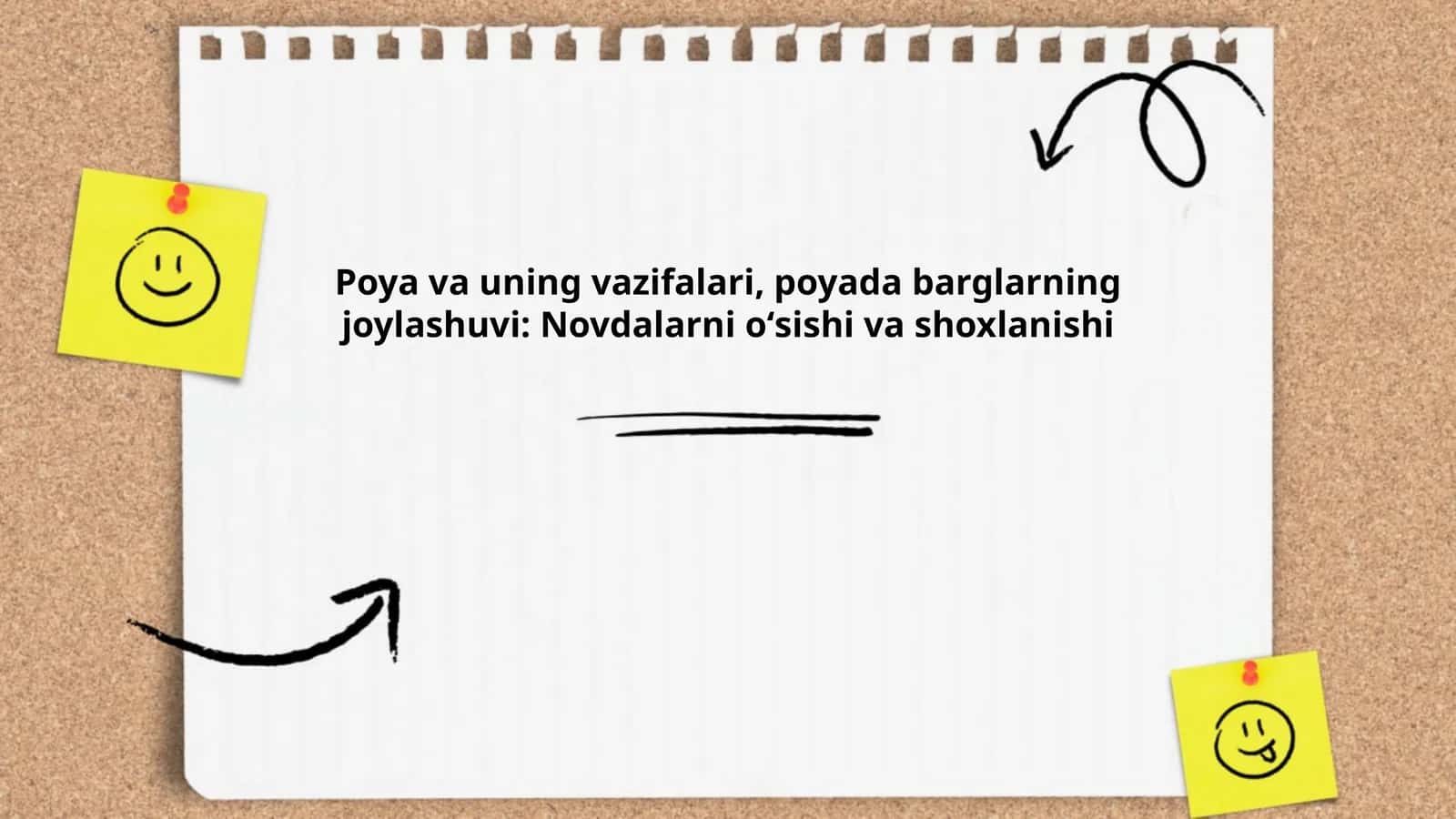 Poya va uning vazifalari