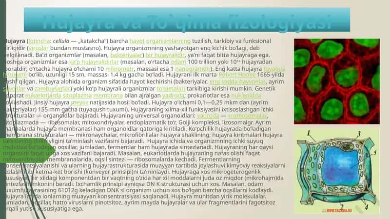 Hujayra va To`qima Fizologiyasi