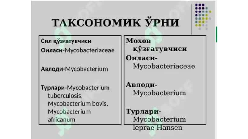 Moxov kasalligi