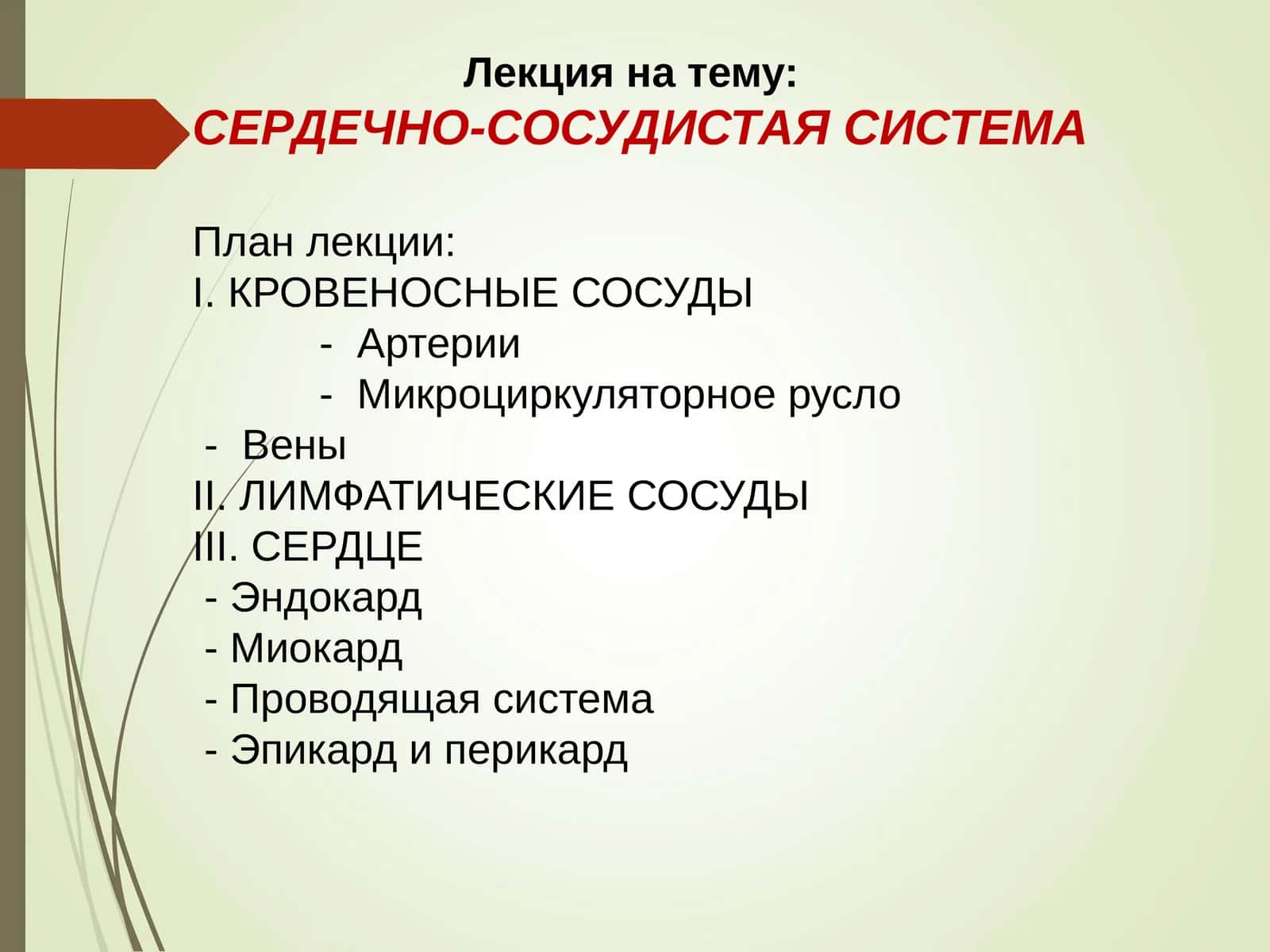 СЕРДЕЧНО-СОСУДИСТАЯ СИСТЕМА
