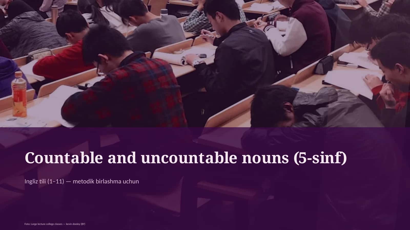 Countable and uncountable nouns (5-sinf)