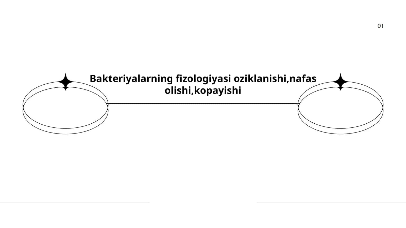 Bakteriyalarning fizologiyasi oziklanishi,nafas olishi,kopayishi