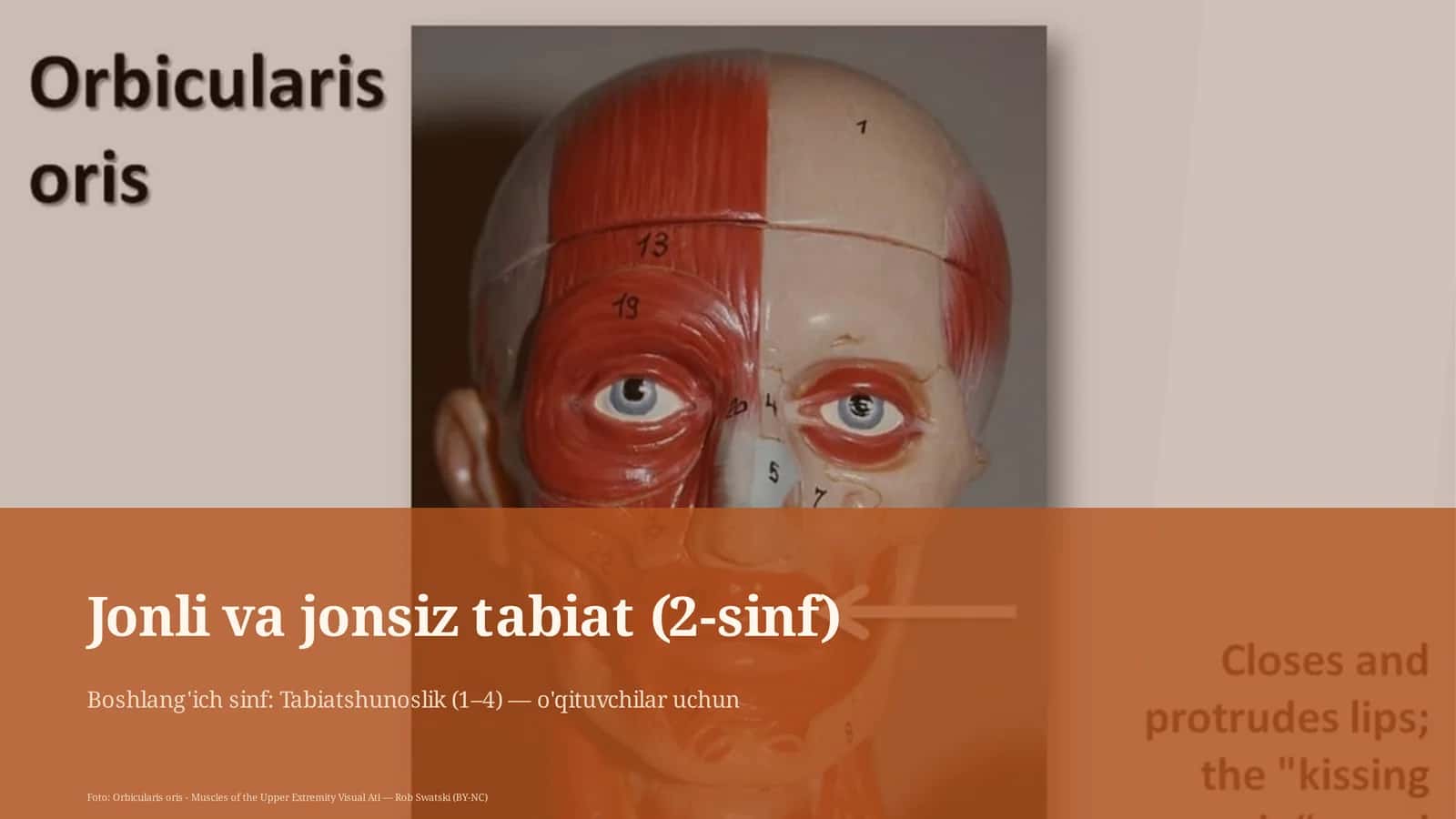 Jonli va jonsiz tabiat (2-sinf)